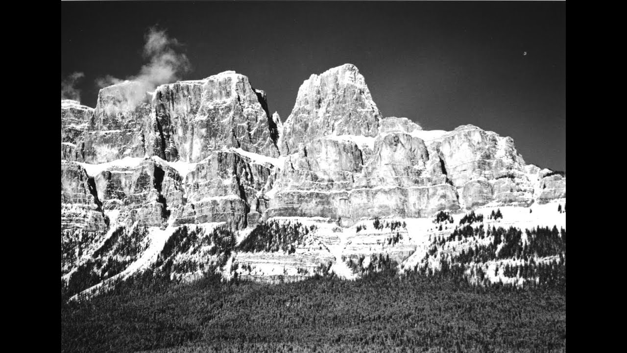 Tips On Shooting Film - Ilford Delta 100