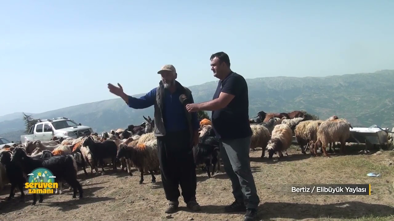 Serüvem Zamanı Bertiz Elibüyük Yaylası 08 06 2020