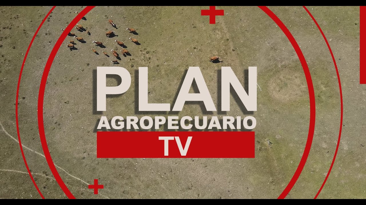 Programa del Plan Agropecuario del 19 de enero de 2026