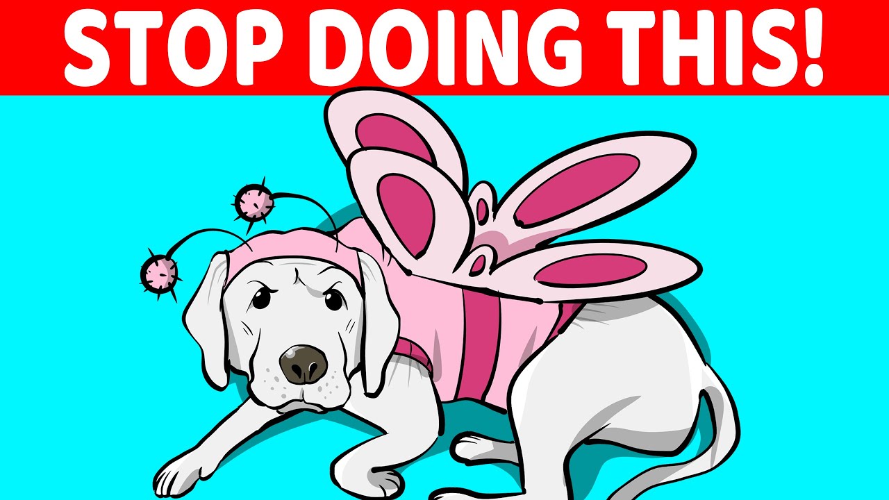12 Things Dogs HATE And Wish You&rsquo;d Stop Doing