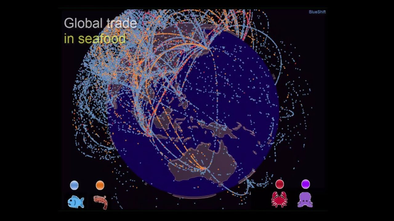 Global trade in seafood visualization