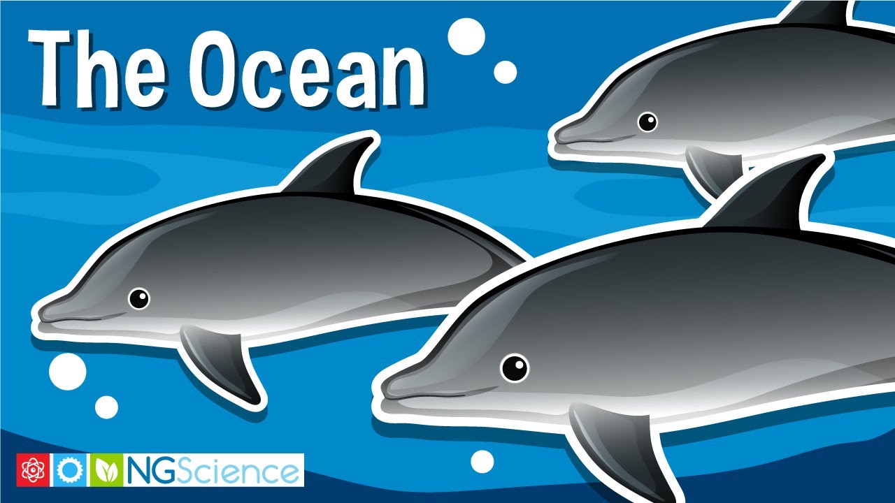 The Ocean