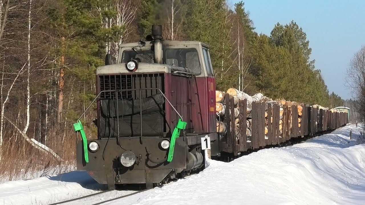 Алапаевская УЖД. ТУ7-2083 с грузовым поездом