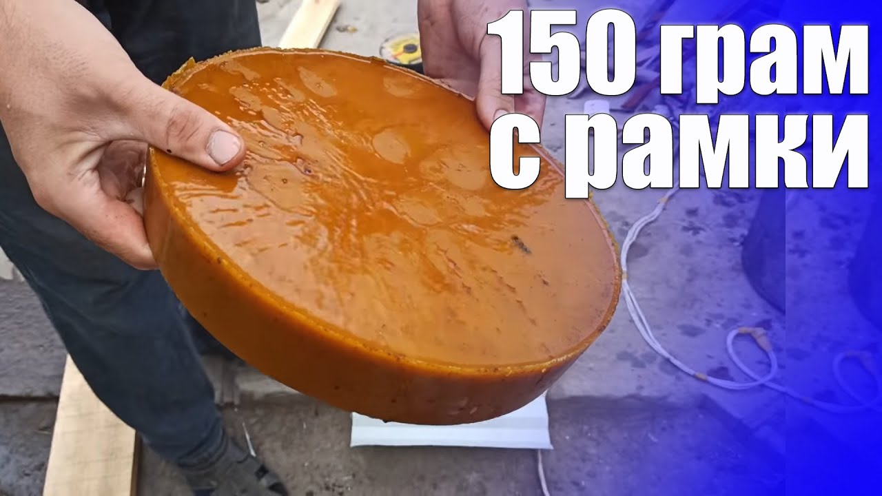 Вытопка воска. Перетопка воска 150 грам с рамки. Воскопрес кулакова