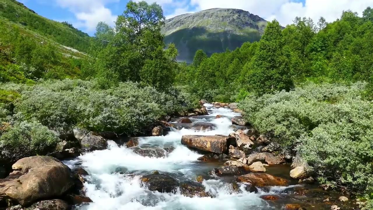 Soothing Mountain Stream Sounds to Help You Sleep (10 hours) Relaxing Nature sounds