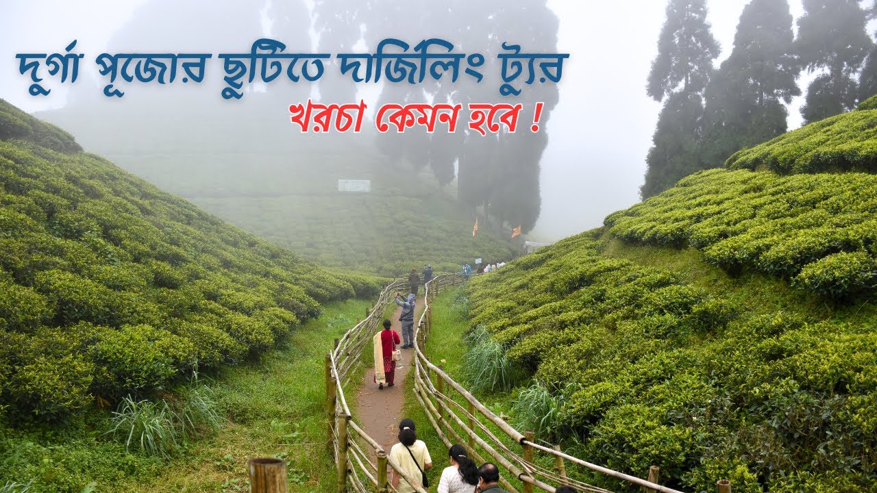 Darjeeling Tour 2025 | দার্জিলিং ভ্রমণ গাইড | Kolkata to Darjeeling | Darjeeling