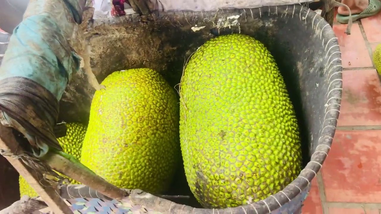 Vét vườn ăn tết được nồi thịt kho riệu