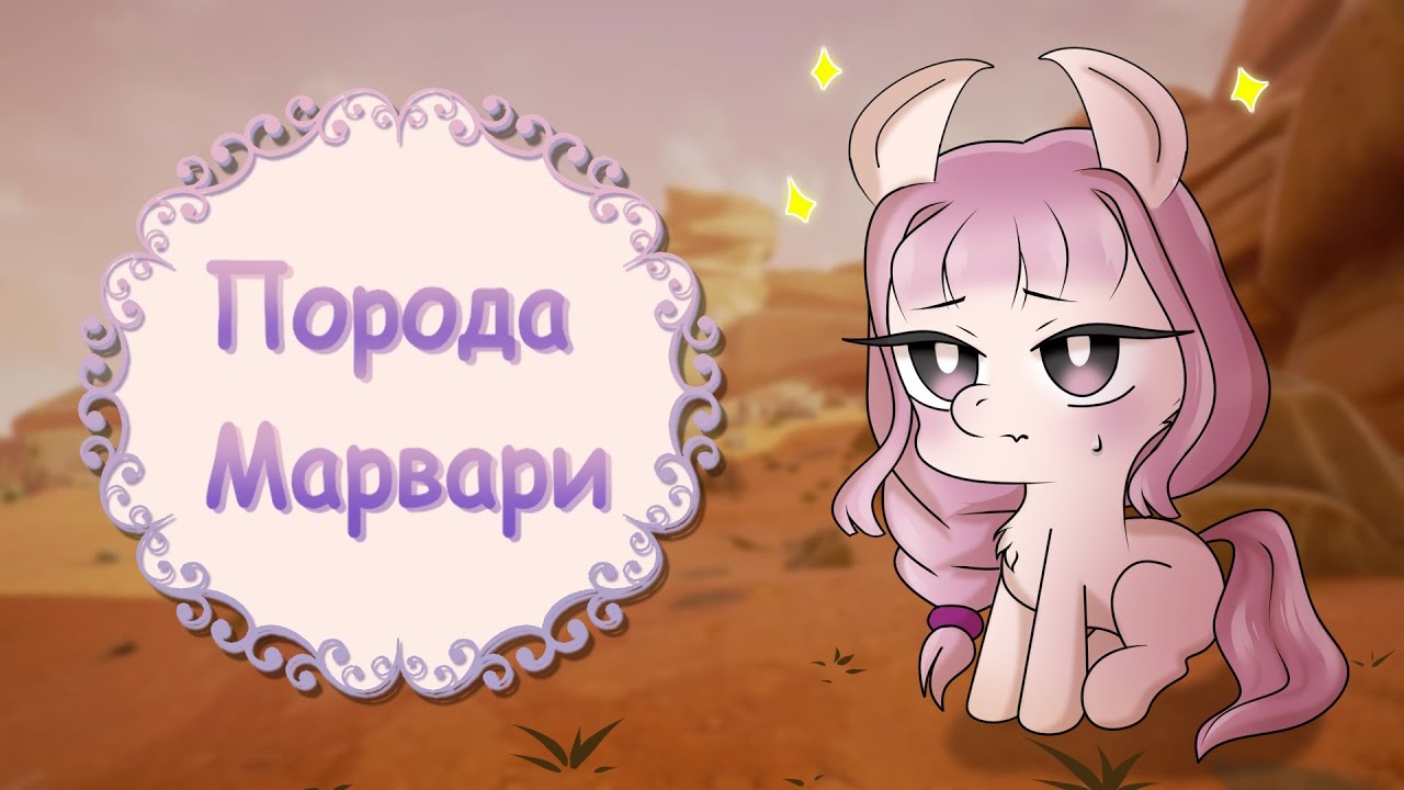 Новая порода Марвари в Wild Horse Islands!