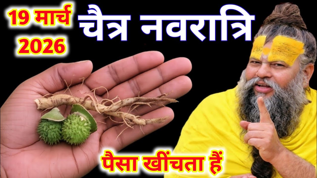 19 मार्च 2026 चैत्र नवरात्रि | यह जड़ घर में रखी तो धन वर्षा होगी