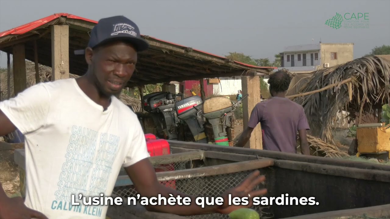 Gambie: Le mal-être des pêcheurs face aux usines
