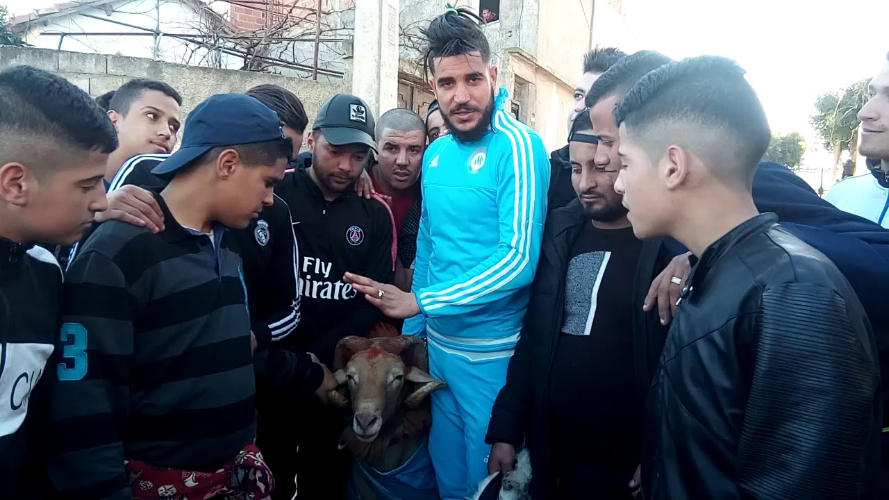 جوكار شيكور