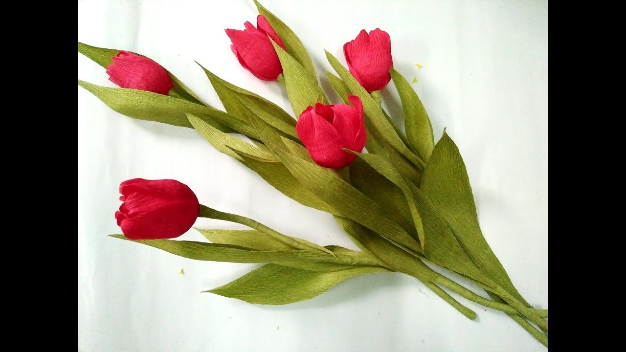 D.I.Y - How to make a paper flower - tulip Part 1 - Làm hoa tulip bằng giấy nhún