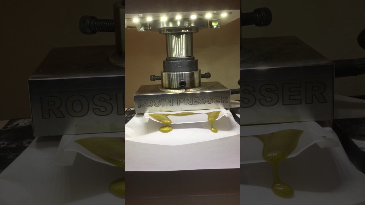31g Dry Sift Rosin Squish