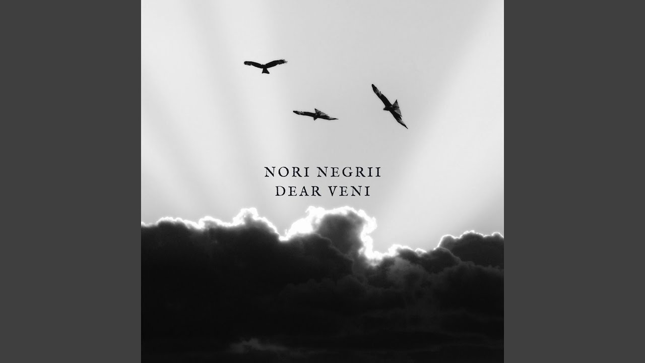 Nori negrii dear veni