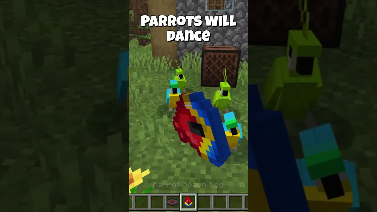 How to make parrots dance in minecraft
