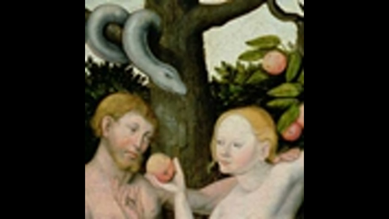 Moral Psychology