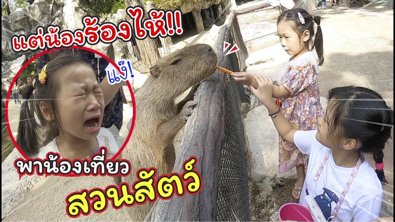 พาน้องเที่ยวสวนสัตว์แต่น้องร้องไห้!! | Safari World | แม่ปูเป้ เฌอแตม Tam Story