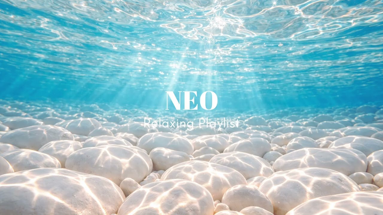 물속에서 느끼는 고요함 🌊 Underwater Calm Playlist