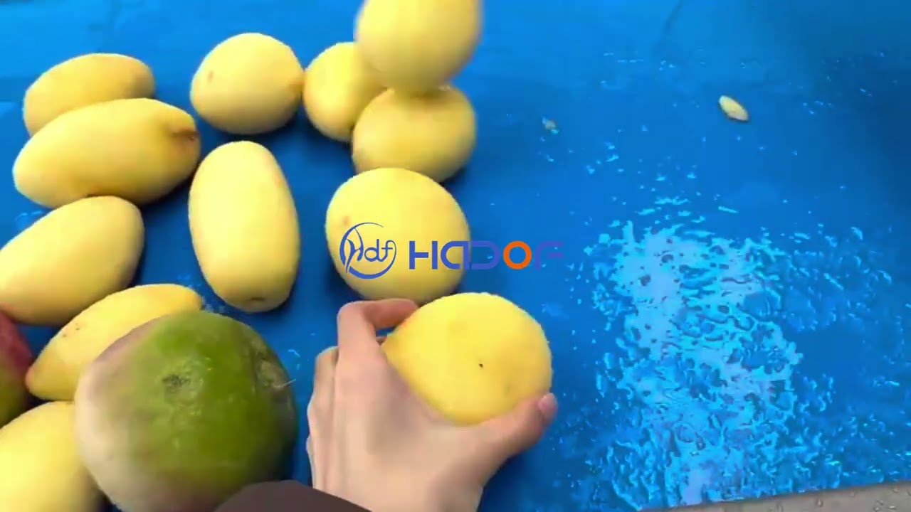 Uzbekistan: Testing the potato and radish peeling machine.