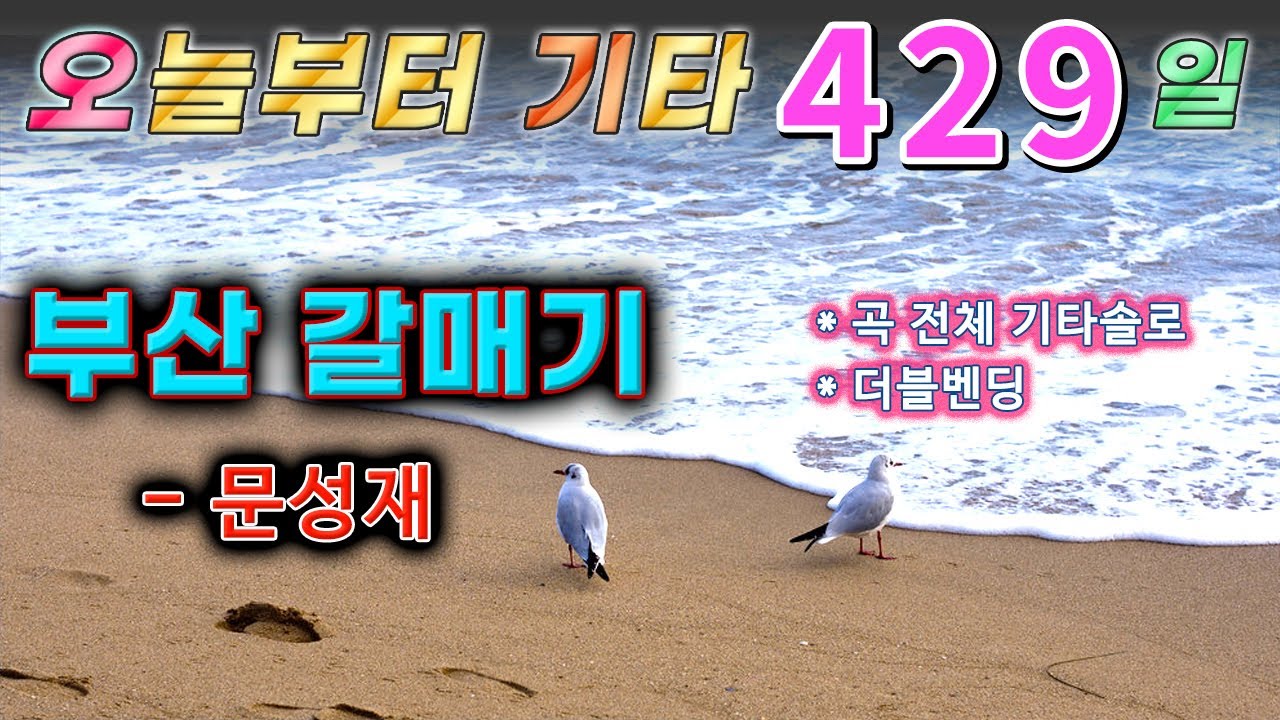 [오늘부터 기타] 429. 부산 갈매기 - 문성재