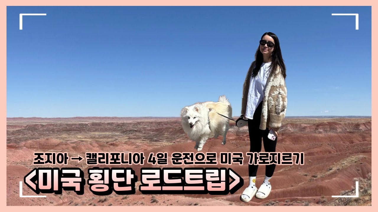 미국 횡단 로드트립 VLOG | 차로 4일, 국립공원까지