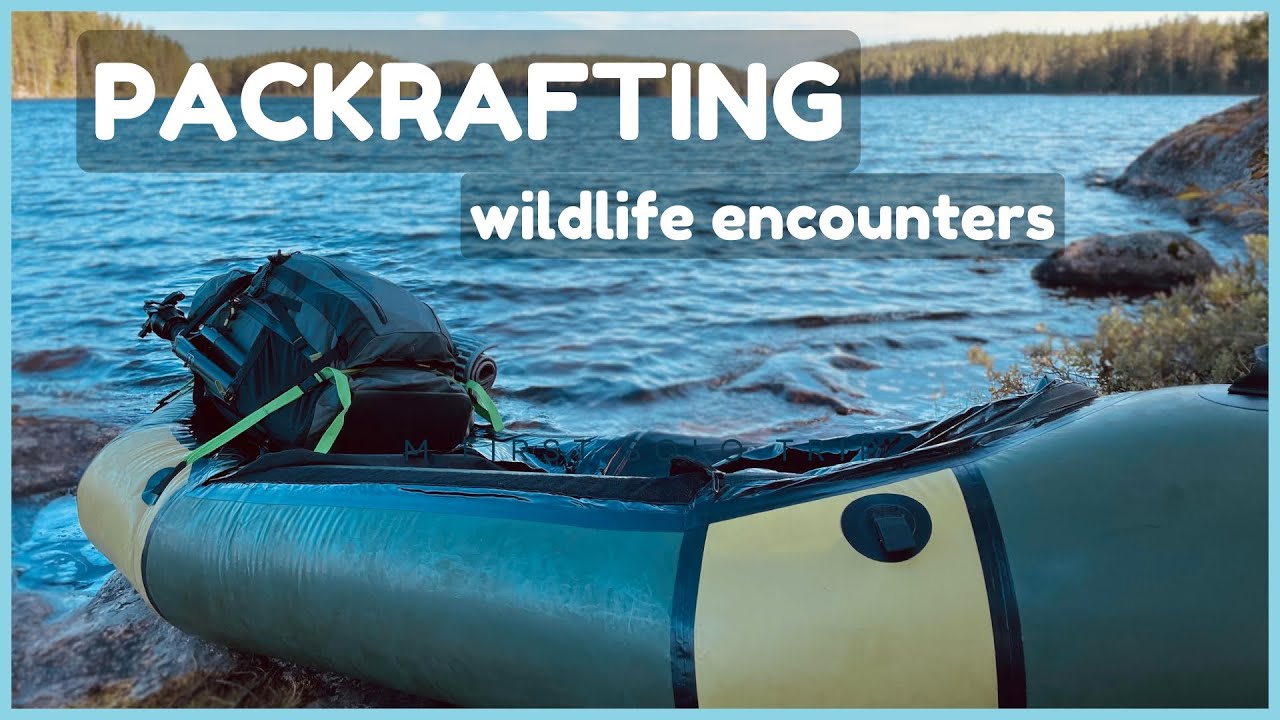 Overnight with packraft to island in the wild | Bird encounters | Hammock camping | Sony 200-600