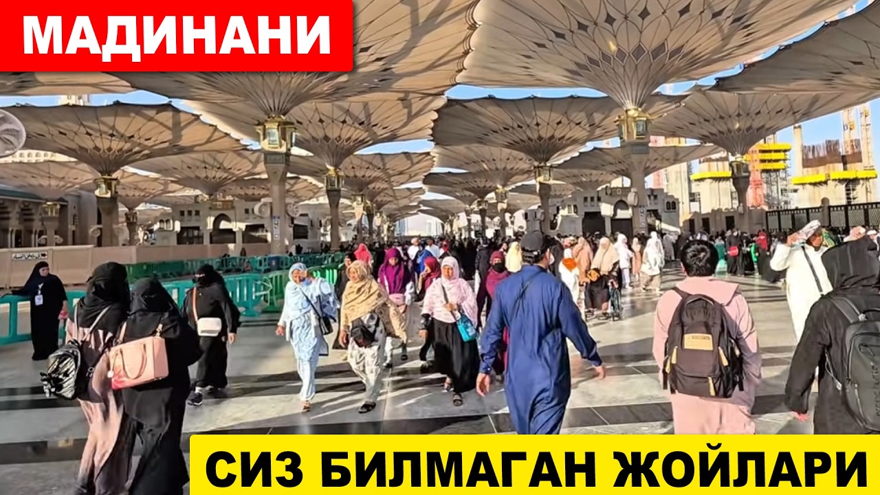 УМРАГА БОРГАНДА МАДИНАДА КУРИШИНГИЗ КЕРАК БУЛГАН ЖОЙЛАР