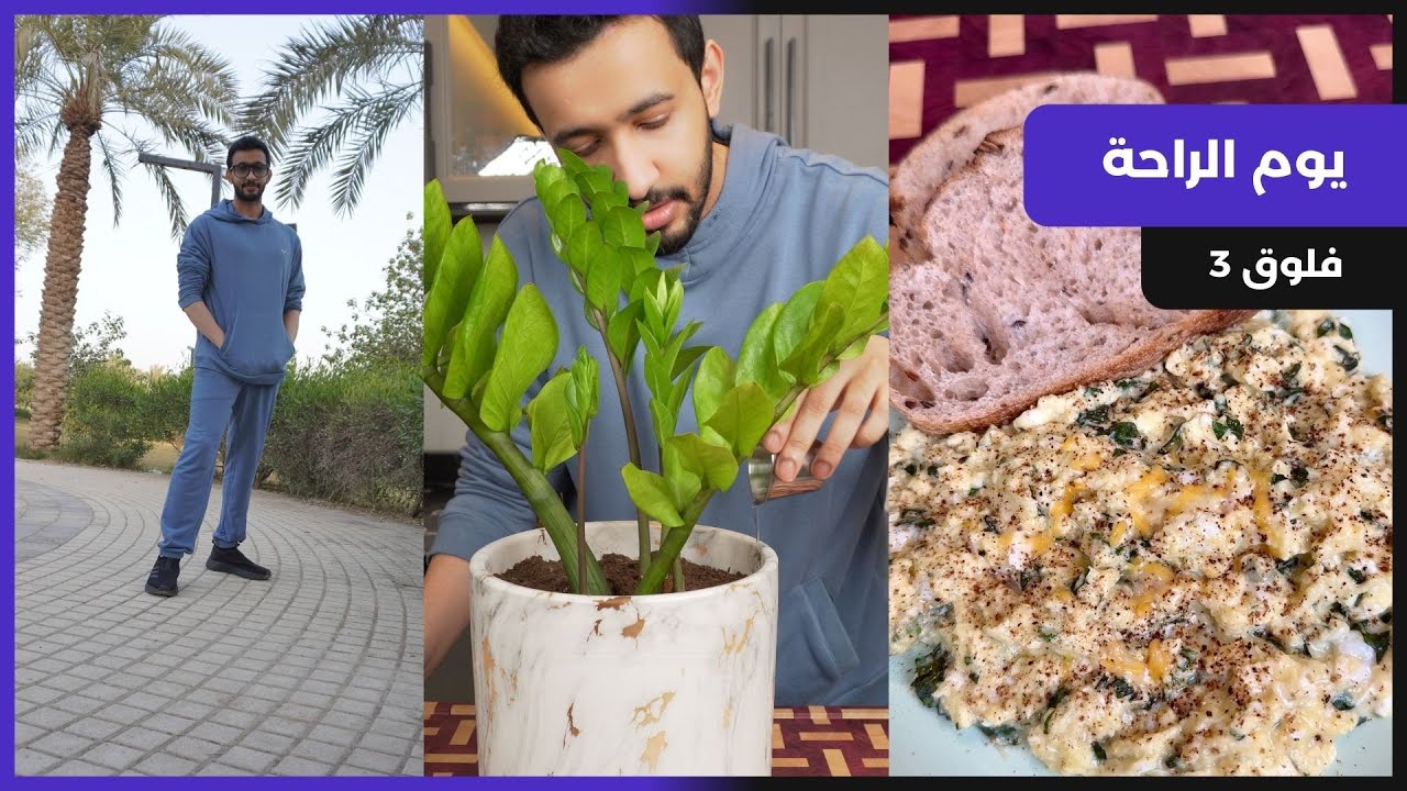 وش أطبخ في يوم هادي ما فيه شغل واجد | وجبات يوم كامل