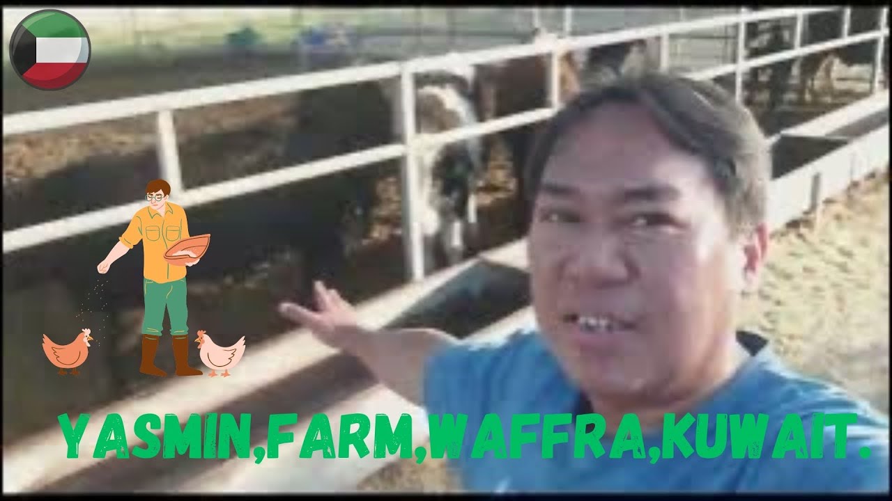 YASMIN,FARM,WAFFRA,KUWAIT.