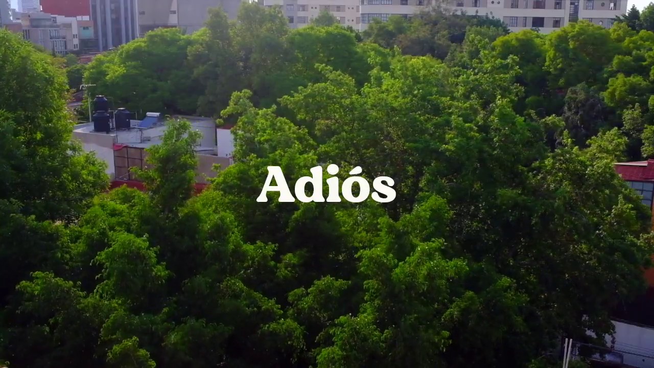 Petite Amie - Adi&oacute;s (Lyric Video)