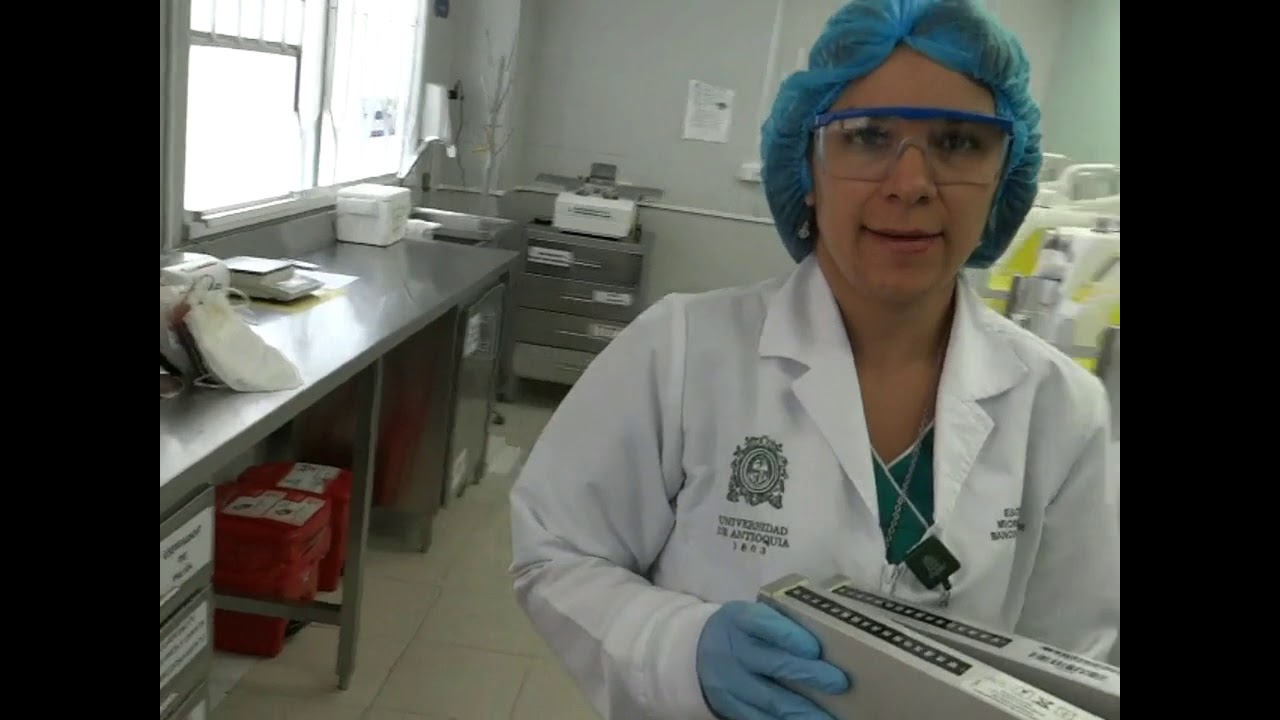 Proceso de Fraccionamiento