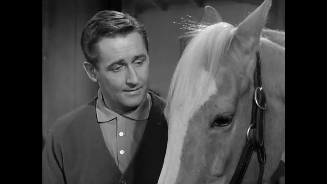 Mister Ed Being Cute / Funny Pt.3
