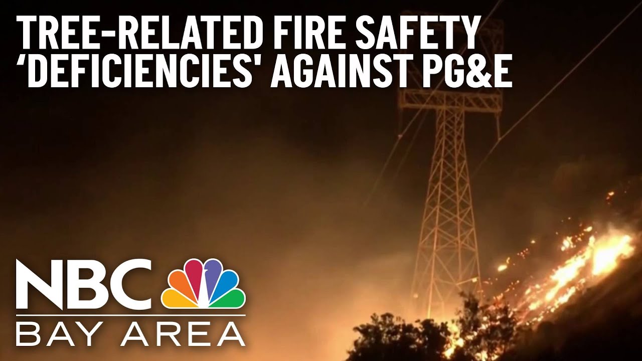 Monitor Issues 20 Tree-Related Fire Safety &lsquo;Deficiencies' Against PG&E
