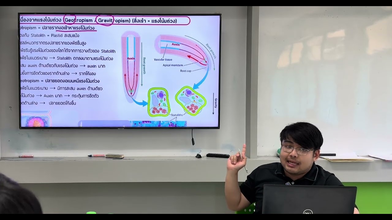 ฮอร์โมนและการตอบสนองของพืช EP.1
