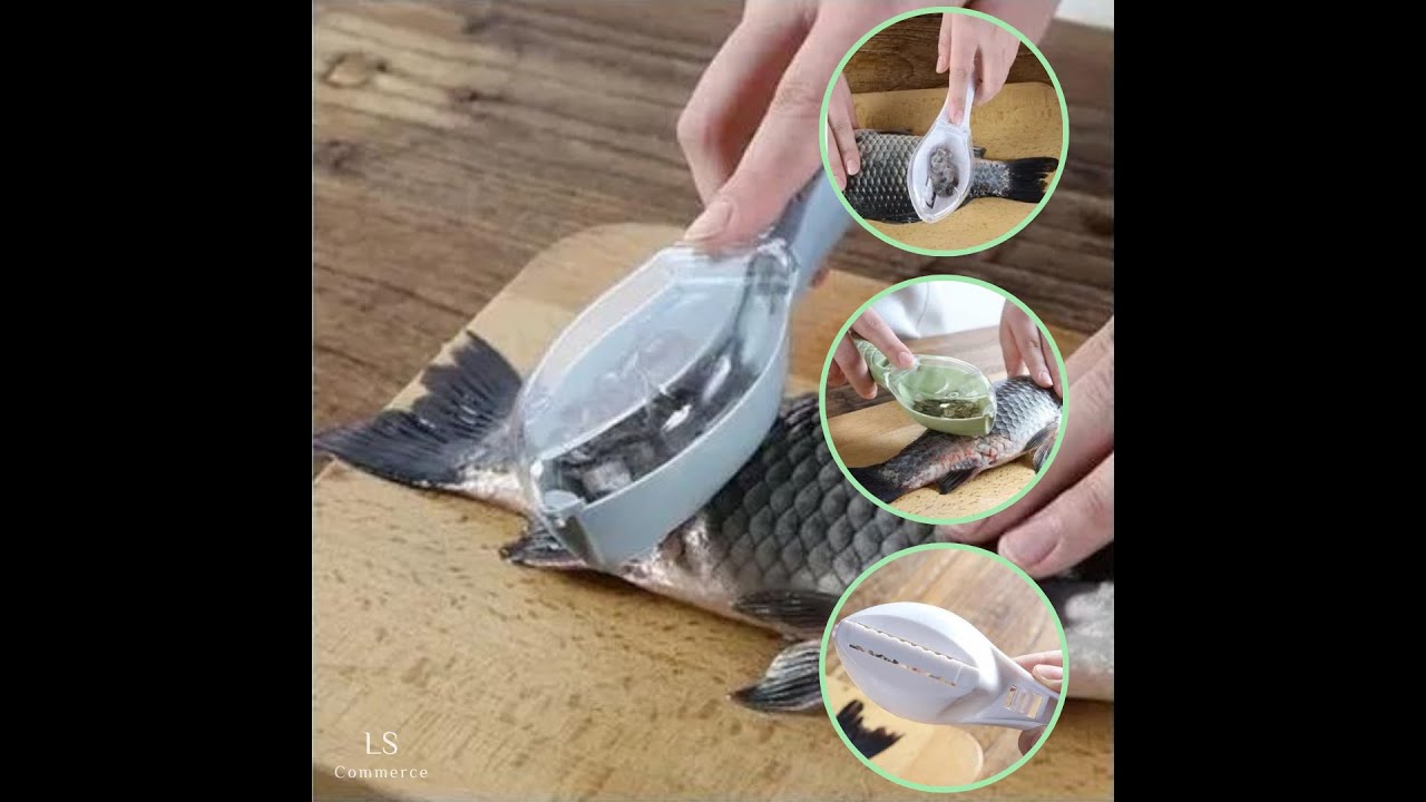REMOVEDOR DE ESCAMA DE PEIXE
