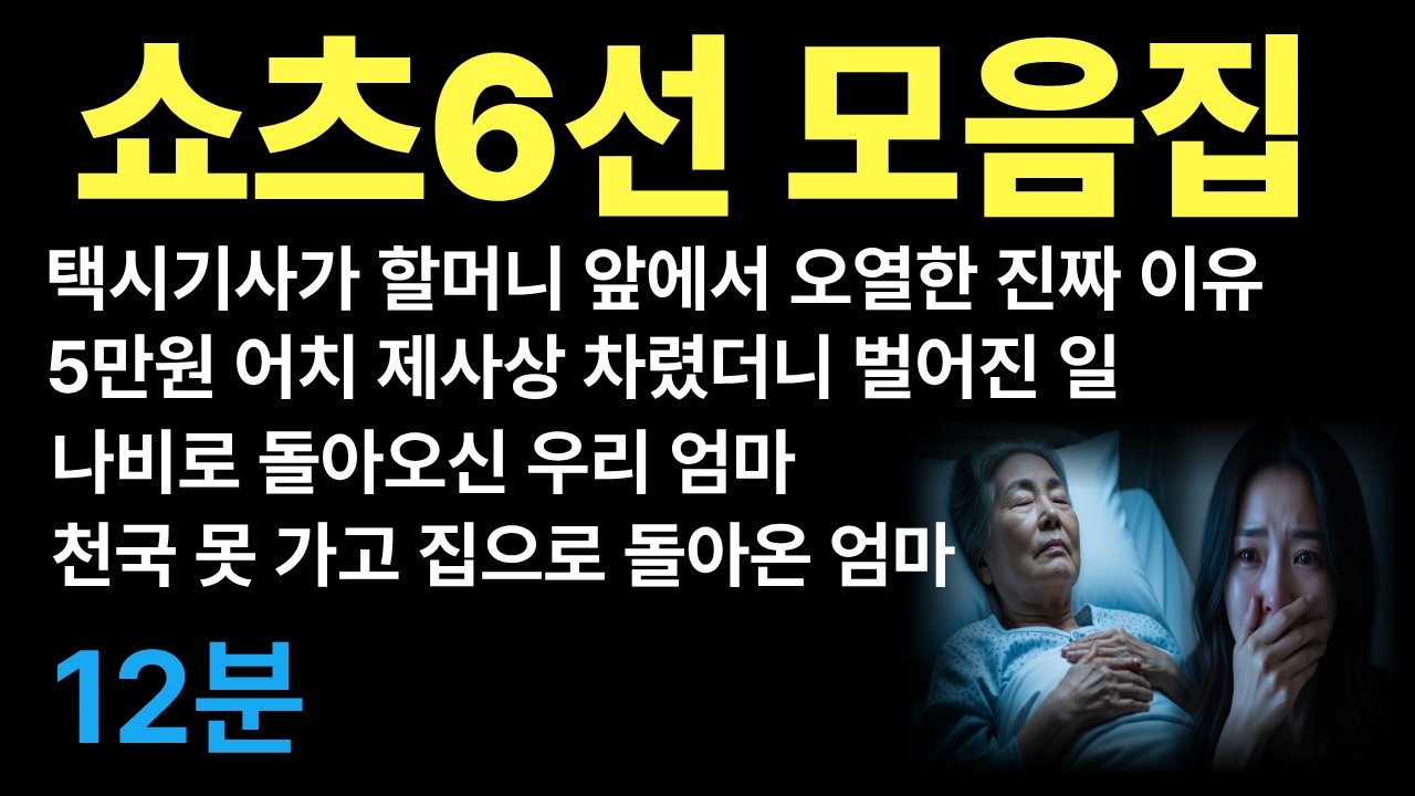 조회수 폭발했던 감동 쇼츠 BEST 6 모음 - 부모님 살아생전 꼭 봐야 할 영상 [눈물주의]