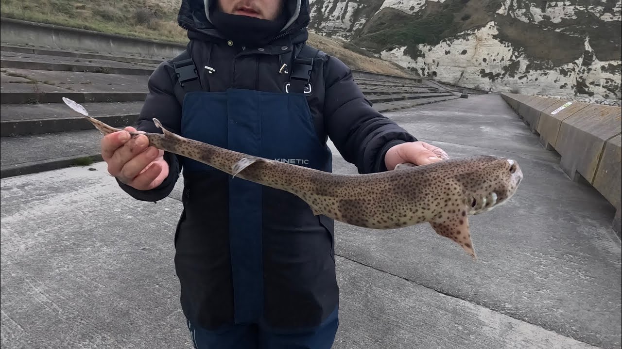 Sea Fishing Kent/ The day we should’ve stayed in bed 