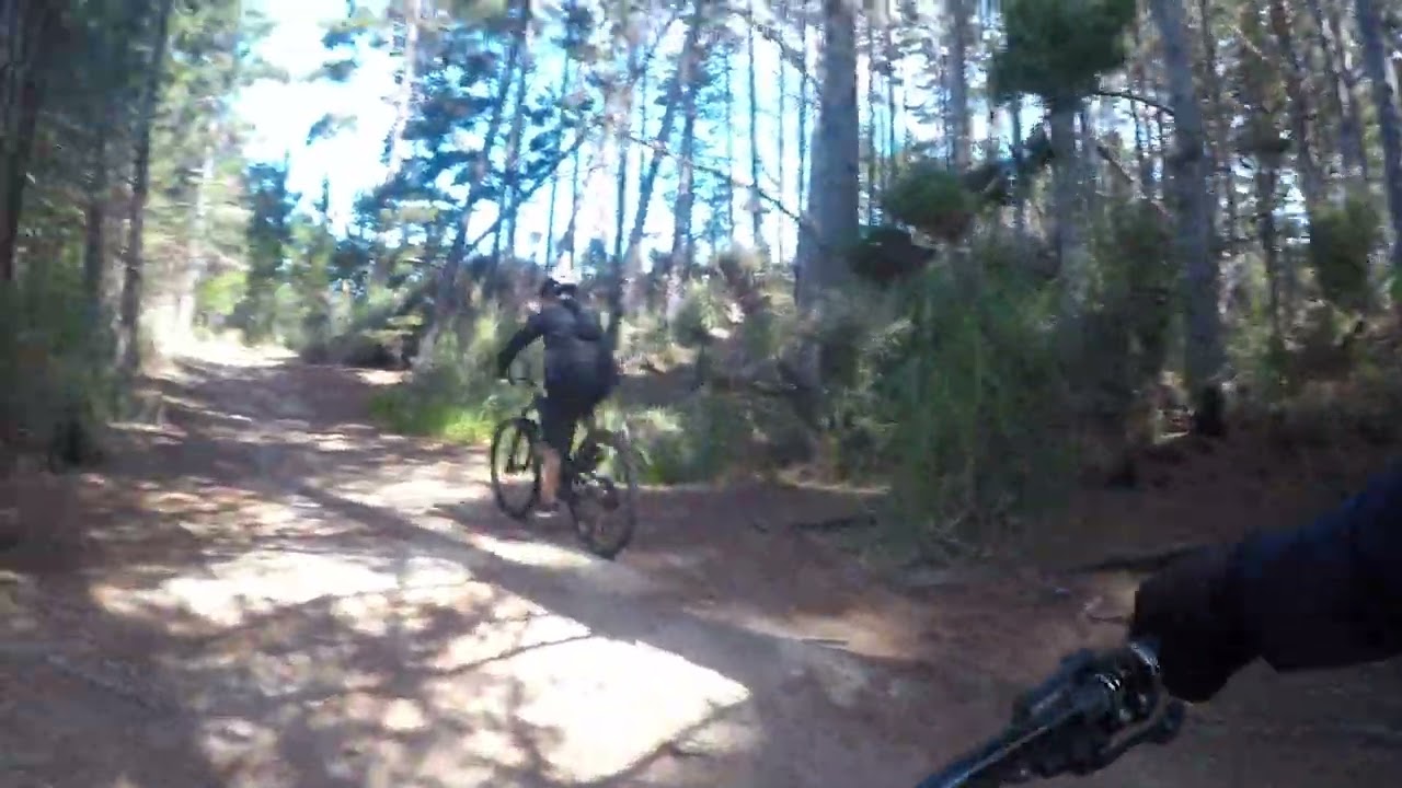 WOODHILL. THE START OF TASTING PLATTER.LOL
