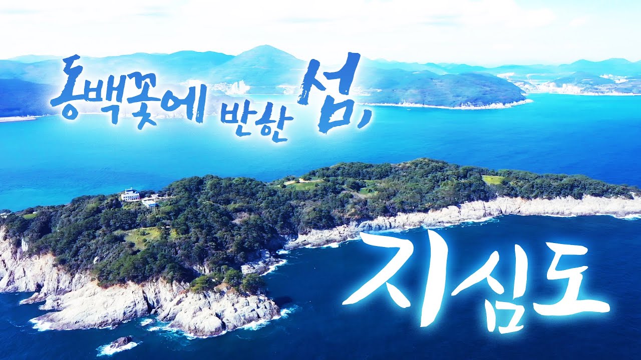 아따 오늘은 미끼가 좋다 ㅎㅎ 우리 마누라랑 낚시 많이 다녔어요 근데 우리 마누라는 낚시보다 따개비 따는걸 더 좋아해 |몇마리 잡았으니까 회 썰어 먹읍시다 #지심도 #거제 #동백꽃