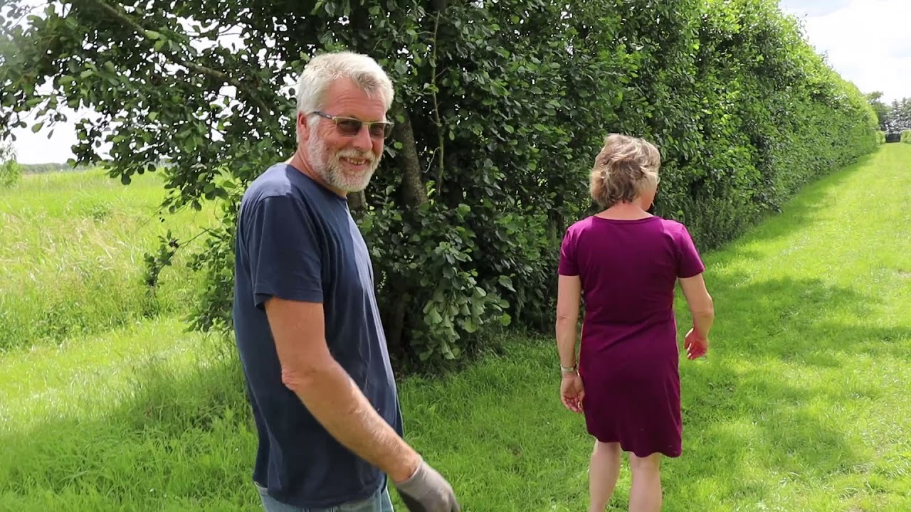 Op de camping tussen de pruimen in De Fruitgaard in Noordbroek - Bie de boer (81)