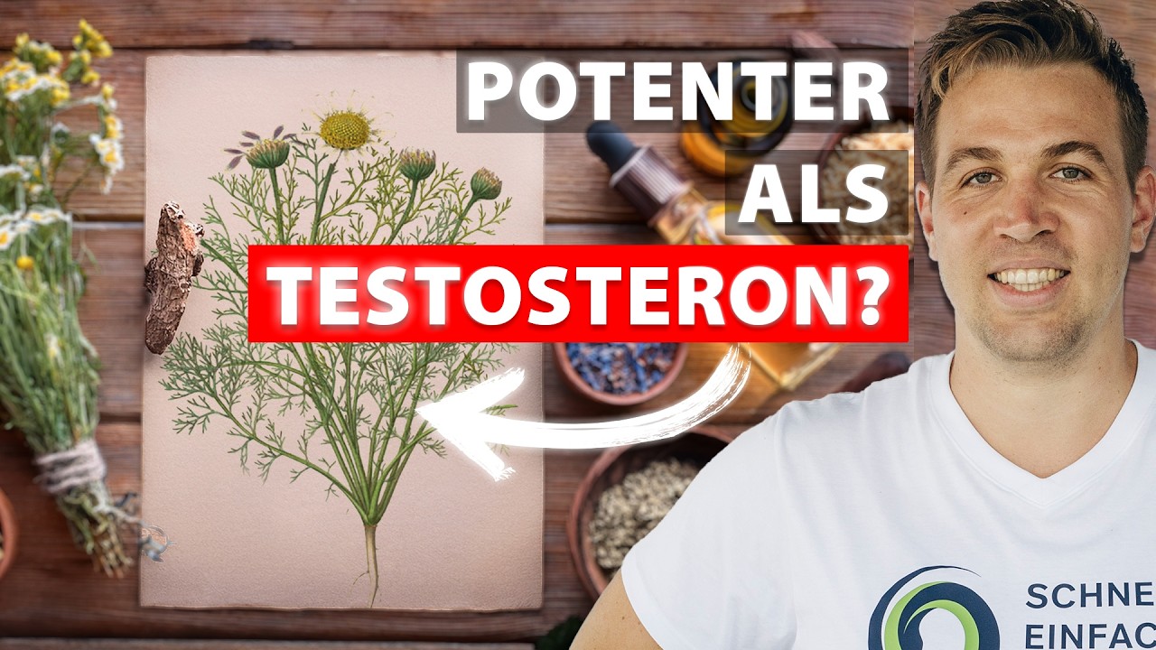 Bertram: Das europäische Ginseng, das kaum jemand kennt