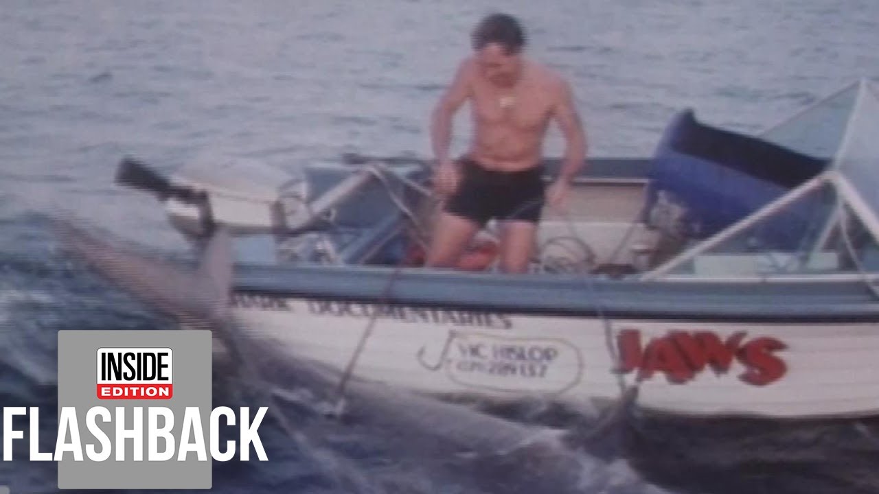 Why This Guy Was Hellbent on Hunting Sharks