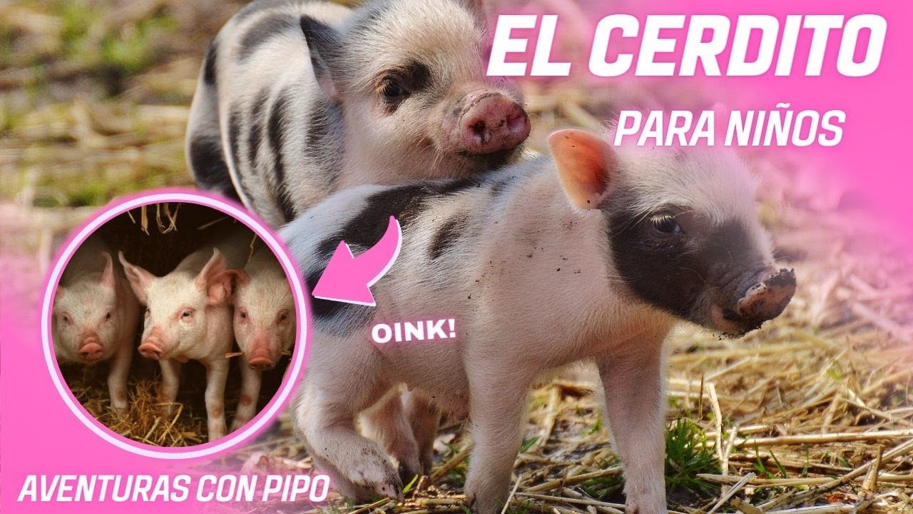 EL CERDITO🐷🐖 / PARA NI&Ntilde;OS