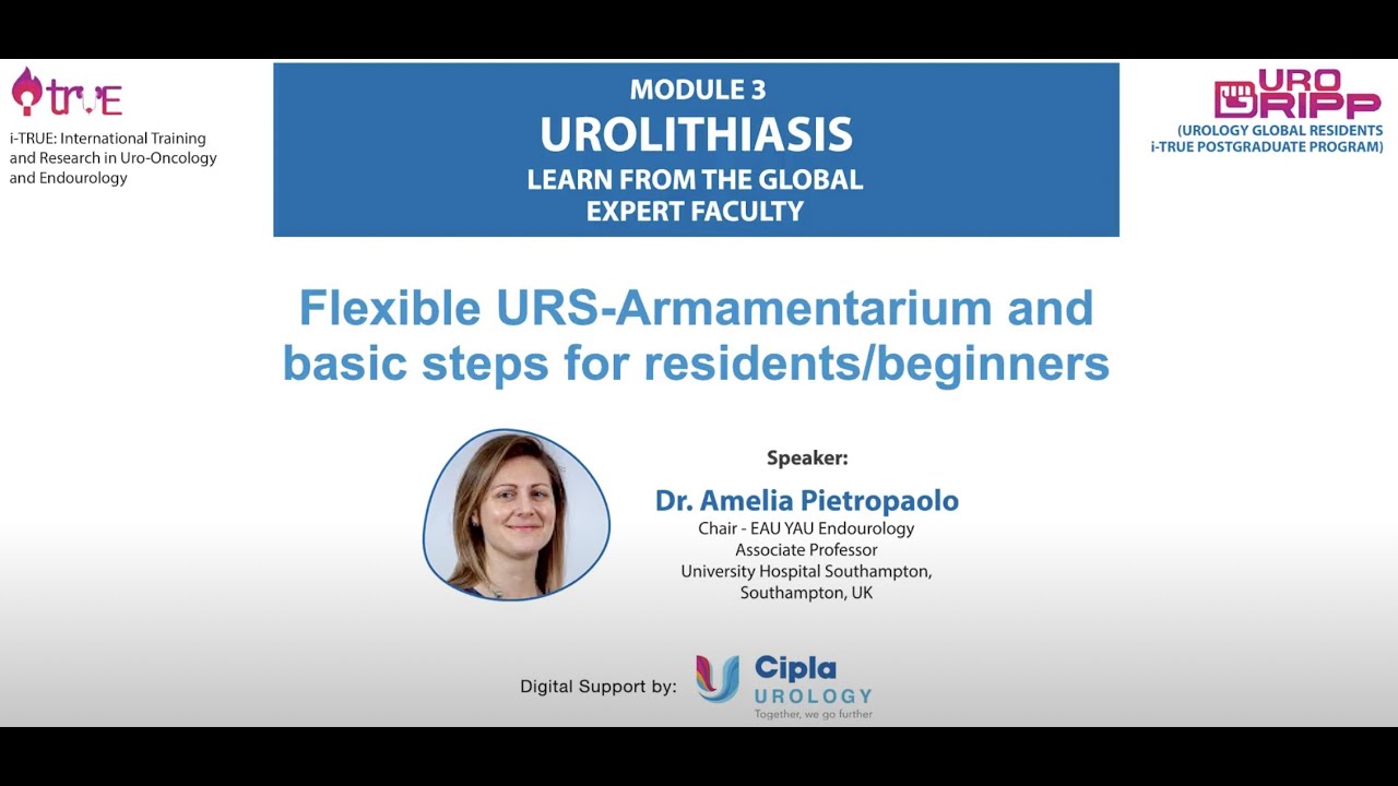 Flexible Ureteroscopy; EAU Training Modules; Disposable; Laser Lithotripsy; Access Sheath; Urosepsis