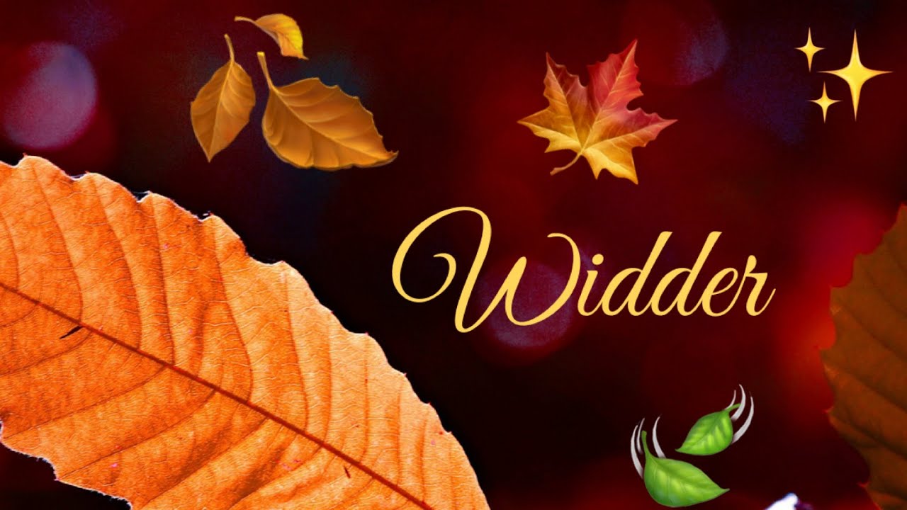 Widder ♈️ Ein kraftvoller Neubeginn. Die Chance, wahres inneres Glück und Erfüllung zu finden.