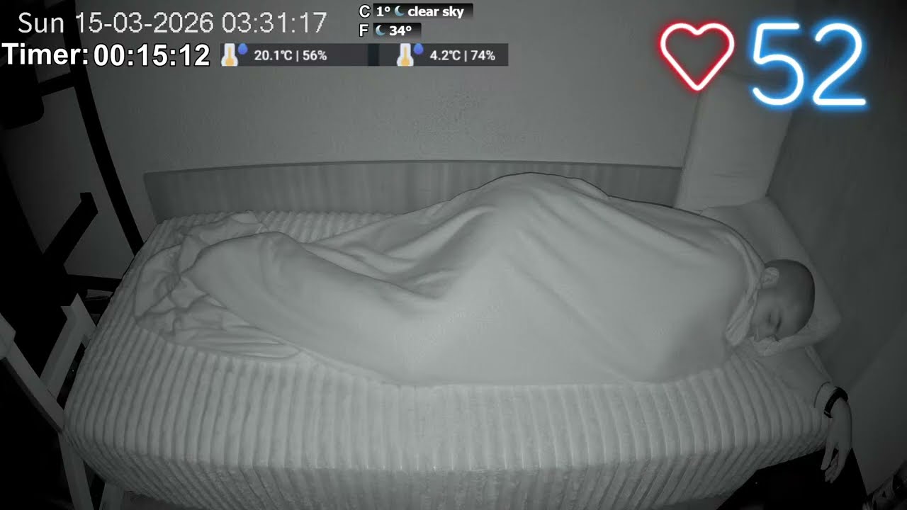 Normal Sleep Stream ASMR №1300 15.03.2026
