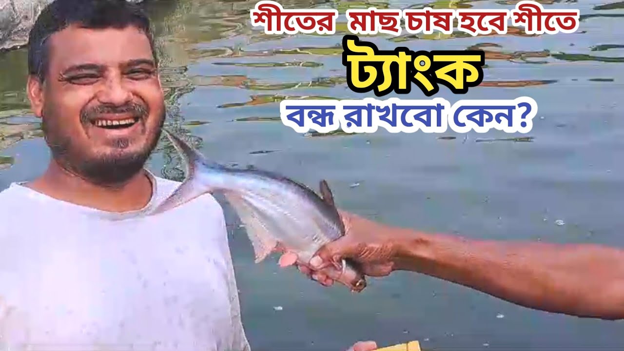 শীতে যে মাছ চাষ হবে সেই মাছ চাষ করবো ট্যাংক বন্ধ রাখবোনা | Easy method of fish farming | BD Masks Tv