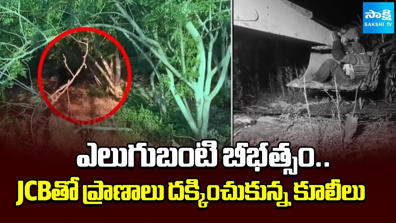 Bear Attack On Farmer Labourers In Adilabad | Telangana News | @SakshiTV