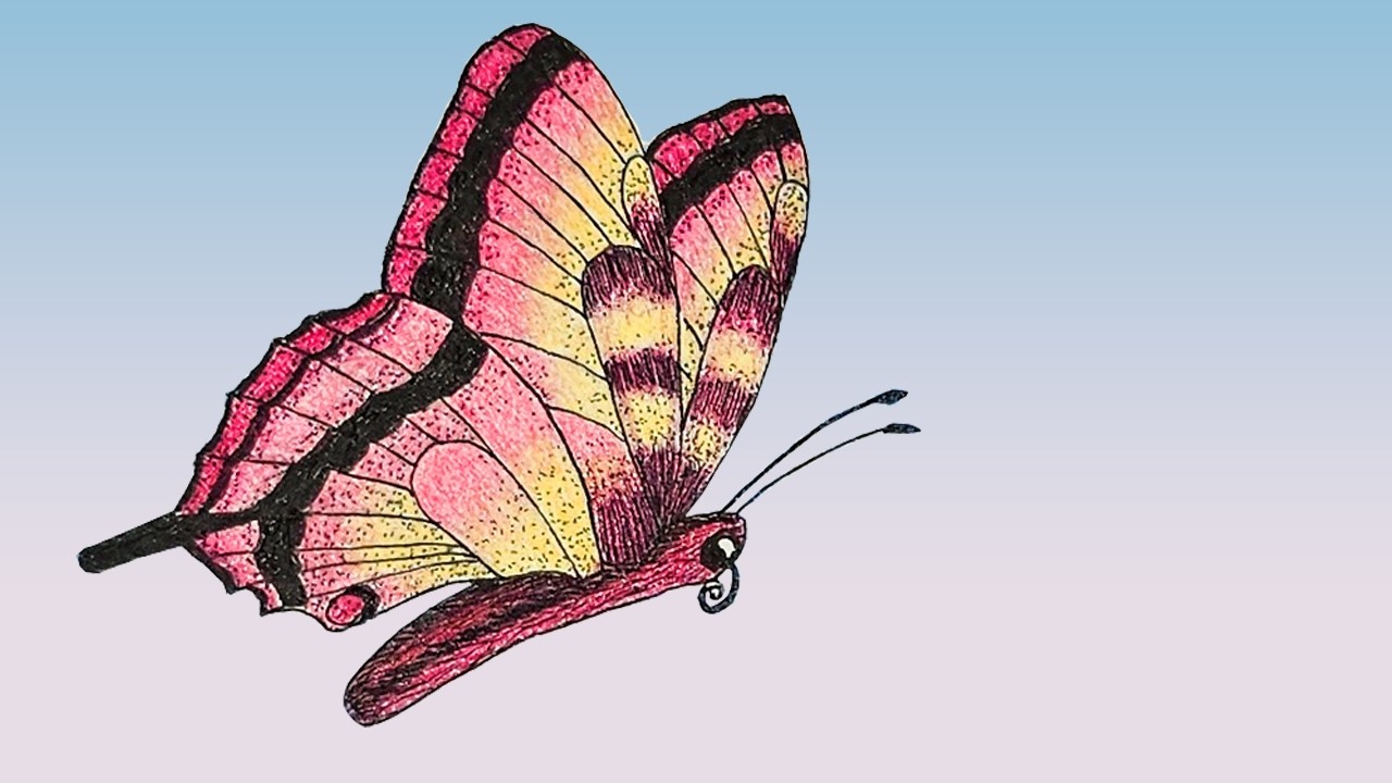 Butterfly Meditative Drawing