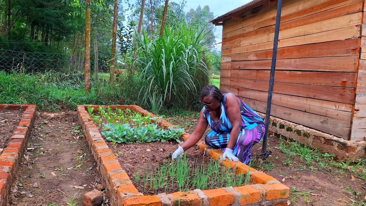 Life of a busy villager. Baking. Gardening. Harvesting | Life in the countryside 